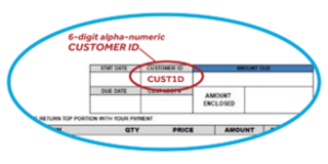 Customer ID Statement Graphic